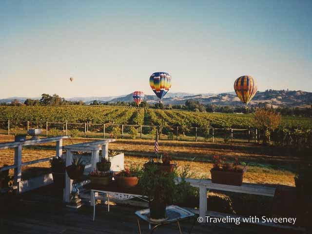 My Vineyard Wedding
