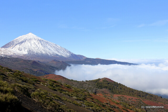 "Teide in Tenerife in winter"