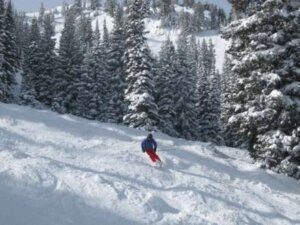 "Skier on the slopes at Alta, Utah"