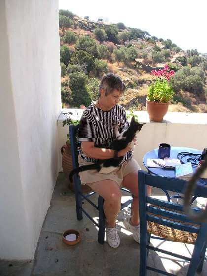 Kitty-in-residence as we gazed out over olive trees and the blue Aegean on the island of Siphnos in Greece