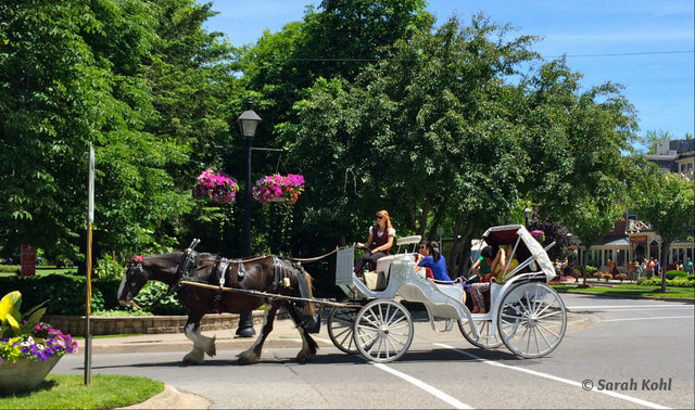 Carriage Ride in Simcoe Park, Niagara-on-the-Lake