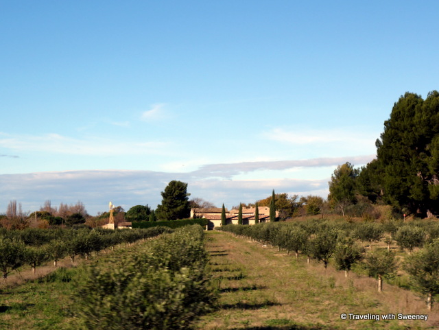 Sunny winter day in the countryside near Cavaillon, in the Vaucluse department of France