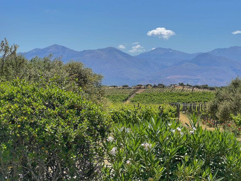 Crete wine country, mountains and vineyards -- Crete, Greece