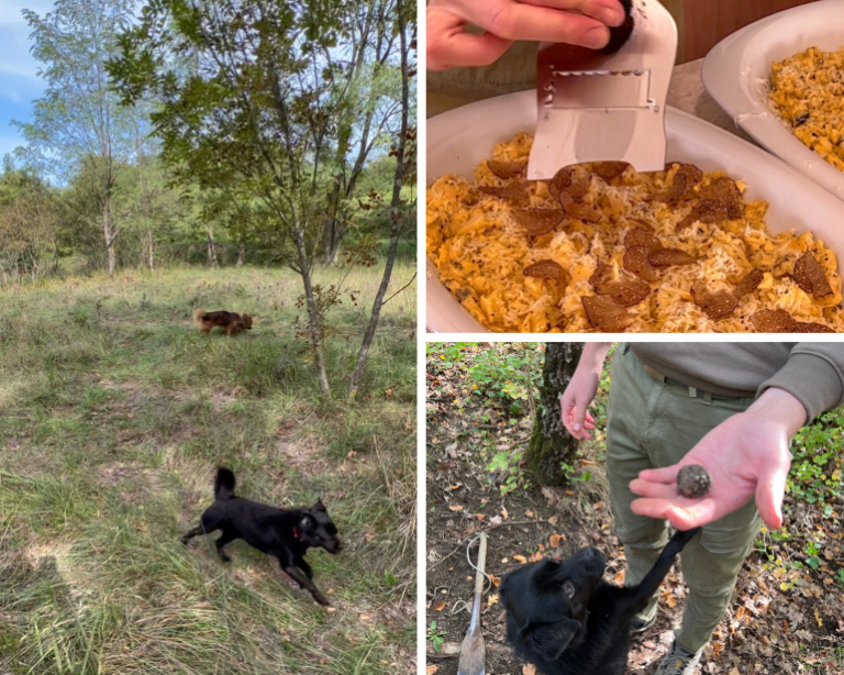 A Taste of Croatia from Dubrovnik to Zagreb Traveling with Sweeney