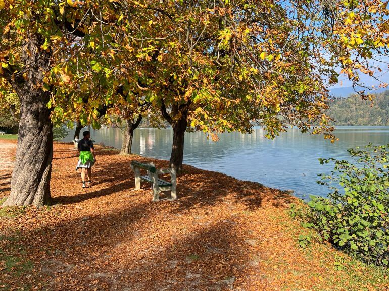 Lake Bled in the fall season -- Path around Lake Bled, Slovenia 