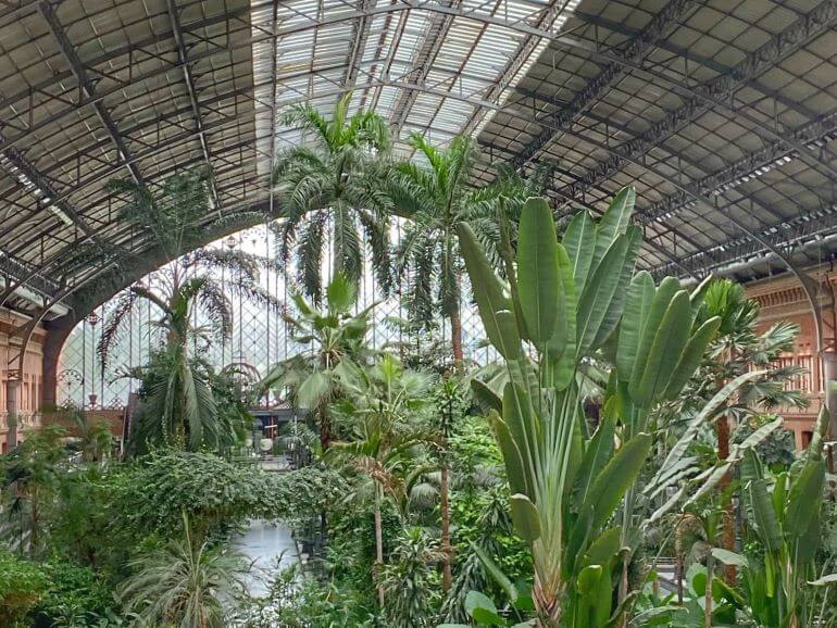 Tropical garden inside of Atocha railway station in Madrid, Spain