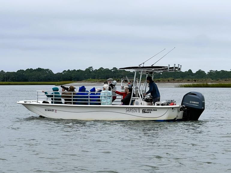 Bay boat for dolphin sightings on the marshes near Charleston, South Carolina
