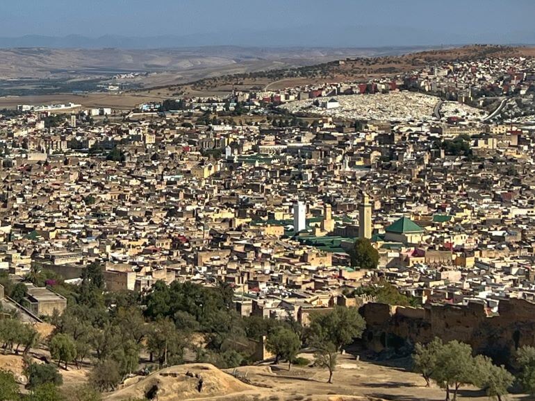View of Fes and the Medina (green roof tiles of the university are visible), Morocco