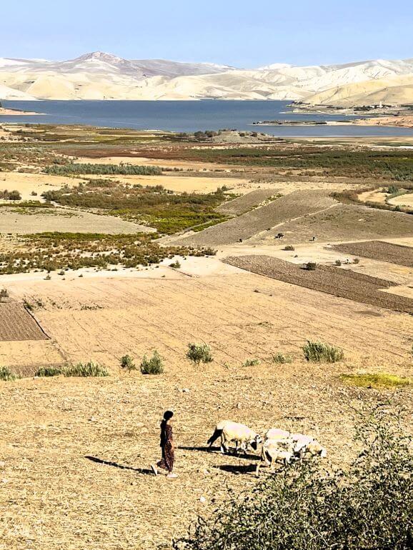 Girl tends to her sheep in a field near a lake in Morocco