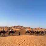 Camel ride for Collette tour group in the Sahara Desert, Morocco