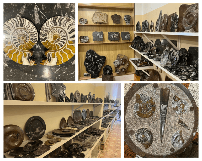 Finished fossil products for sale at a fossil factory in Erfoud, Morocco