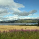 Rural landscape between Inverness and Invergordon, Scotland